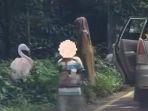 Cuplikan-keluarga-keluar-mobil-di-taman-safari.jpg