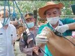 DKPP-Kota-Kediri-melakukan-pemantauan-penyakit-mulut-dan-kuku-PMK-di-pasar-hewan-Kota.jpg