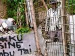 Daftar-Masalah-yang-Dibuat-Ari-selain-Tutup-Jalan-Umum-Bongkar-Paving-hingga-Pancing-Lalat-Datang.jpg
