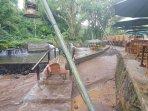 Debit-air-di-objek-Wisata-Teduh-Glamping-dan-sungai-di-Desa-Rejo-agung-Bondowoso-meningkat.jpg