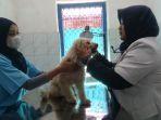 Drh-Atikka-Ratna-Ningtyas-sedang-memeriksa-kesehatan-anjing-jenis-pudel-yang-dititipkan.jpg