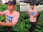 Dulu-Buruh-Pabrik-Suryadi-Kini-Raup-Rp200-Juta-karena-Budidaya-Alpukat-Nekat-Meski-Tak-Punya-Lahan.jpg