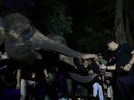 Eri-Cahyadi-saat-mengikuti-ujicoba-pembukaan-Surabaya-Night-Zoo.jpg