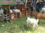 Expo-Domba-dan-Kambing-dalam-rangka-memeriahkan-Hari-Jadi-Kabupaten-Kediri-ke-1220.jpg