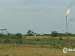 Flare-salah-satu-industri-eksplorasi-migas-yang-beroperasi-di-Kabupaten-Bojonegoro.jpg