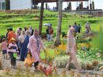 Gelaran-Sepekan-di-Agrowisata-Tamansuruh-AWT-Banyuwangi-mendapat-animo.jpg