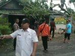 Hujan-disertai-angin-kencang-menyebabkan-pohon-tumbang-menimpa-rumah-warga-di-Lamongan.jpg