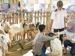 Ilustrasi-membeli-hewan-kurban-kambing.jpg