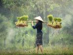 Ilustrasi-petani-wanita.jpg