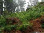 Jalur-Trenggalek-Tulungagung-via-Bendungan-Pagerwojo-tertimbun-tanah-longsor-di-Desa-Depok.jpg