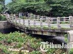 Kerusakan-Jembatan-Junjung-karena-diterjang-sampah-kiriman-jembatan-ambles-di-tulungagung.jpg