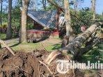 Kondisi-bangunan-gazebo-di-Tempat-Wisata-Sumber-Bon-C-Desa-Karangrejo-blitar.jpg