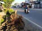 Tewaskan 1 Orang, Pelaku Tabrak Lari di Blitar Dihajar Massa, Mobil Sampai Dirusak