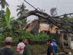 Rumah Warga Blitar Hancur Tertimpa Pohon Sengon Besar, Warga Panik Cari Penghuni