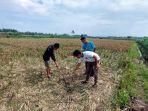 Lokasi-kejadian-terduga-pelaku-pencurian-motor-diamuk-massa-hingga-tewas.jpg