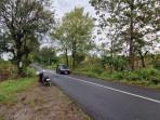 Lokasi-percobaan-begal-di-Hutan-Kayu-Putih-Jalan-Raya-Ponorogo-Pulung.jpg