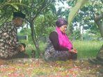 Luluk-Nur-Hamidah-Didampingi-Suaminya-Ziarah-ke-Makam-Orangtua.jpg