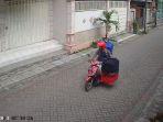 Maling-curi-burung.jpg