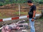 Motor-Suzuki-Thunder-terbakar-di-SPBU-Desa-Nglebeng-trenggalek.jpg