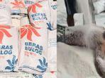Nasib-pria-yang-mandi-beras-bulog-dan-viral-direkam.jpg