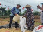 Curah Hujan Tinggi, Alokasi Pupuk Subsidi Trenggalek Tahun 2025 Naik 4 Ribu Ton