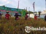 Panen-padi-sehat-oleh-Plt-Bupati-Nganjuk-Marhaen-Djumadi-bersama-Tatit-Heru-Tjahjono.jpg