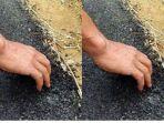Pantas-Aspal-Jalan-di-Kendal-Ambyar-saat-Disentuh-Kades-Angkat-Bicara-setelah-Diprotes-Belum-Cair.jpg