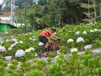 Para-biker-yang-mengikuti-event-sepeda-Kediri-Dholo-KOM-yang-melewati-rute.jpg