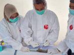 Pembedahan-tikus-yang-diambil-dari-lingkungan-pasien-leptospirosis-di-Tulungagung.jpg