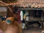 Penampakan-gubuk-kecil-yang-ditinggali-oleh-satu-keluarga-di-Kampung-Sukajadi-Bogor.jpg