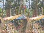 Penampakan-jembatan-gantung-Kabupaten-Pangandaran-jatuh-ke-sungai-siswa-smp.jpg