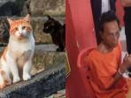 Penjagal-daging-kucing-yang-ramai-disoroti-publik.jpg