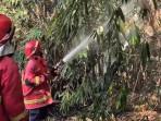 Personel-pemadam-kebakaran-sedang-menyemprot-api-yang-berkobar-karena-pembakaran-sampah.jpg