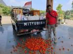 Petani-Tomat-asal-Kecamatan-Kare-Darsyanto-menumpahkan-semua-tomat-berkualitas-buruk.jpg
