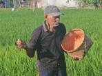 Petani-di-Kelurahan-Kelutan-KecamatanKabupaten-Trenggalek-Jawa-Timur.jpg