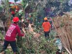 Petugas-BPBD-Kota-Blitar-melakukan-penanganan-pohon-tumbang-di-Jl-Sumatra.jpg
