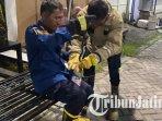 Petugas-Damkar-Gresik-mengevakuasi-ular-kobra-di-rumah-Januar-warga-gresik.jpg
