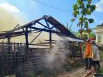 Petugas-Damkar-Tuban-bersama-warga-saat-memadamkan-api-yang-membakar-kandang-kambing.jpg