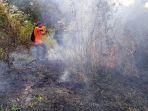 Petugas-berupaya-memadamkan-api-yang-membakar-kawasan-hutan-blok.jpg
