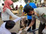 Petugas-mengecek-kondisi-mulut-dan-kaki-hewan-ternak-di-Pasar-Hewan-Dermosari.jpg
