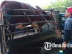 Petugas-menyemprotkan-dIsinfektan-pada-kendaraan-yang-membawa-sapi-masuk-ke-Pasar-Hewan-Terpadu-PHT.jpg