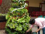 Pohon-natal-setinggi-2-meter-yang-tersusun-dari-berbagai-jenis-tanaman-hidroponik.jpg