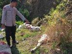 Polisi-saat-mendatangi-lokasi-temuan-sapi-terpotong-di-tuban.jpg