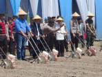 Polres-Kediri-menggelar-tanam-jagung-di-Ponpes-Gontor-Kediri-Rabu-682025.jpg