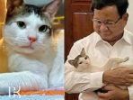 Potret-Bobby-Kertanegara-dfhty7i8.jpg