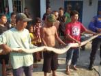 Potret-warga-Desa-Tanjunggunung-Kecamatan-Peterongan-Kabupaten-Jombang.jpg