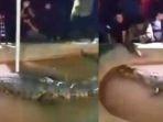 Pria-diterkam-saat-jenguk-buaya.jpg