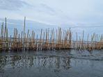 Proses-pembongkaran-pagar-laut-yang-melibatkan-berbagai-pihak.jpg