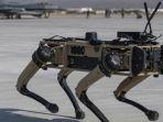ROBOT-ANJING-Perusahaan-militer-Israel-membeli-robot-anjing-untuk-digunakan-dalam-perang-Gaza.jpg