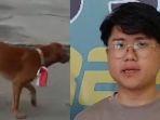 Robert-Herison-22-tersangka-pengalungan-bendera-merah-putih-di-leher-anjing.jpg